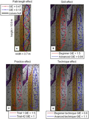 Analysis of Relations between Spatiotemporal Movement Regulation and Performance of Discrete Actions Reveals Functionality in Skilled Climbing